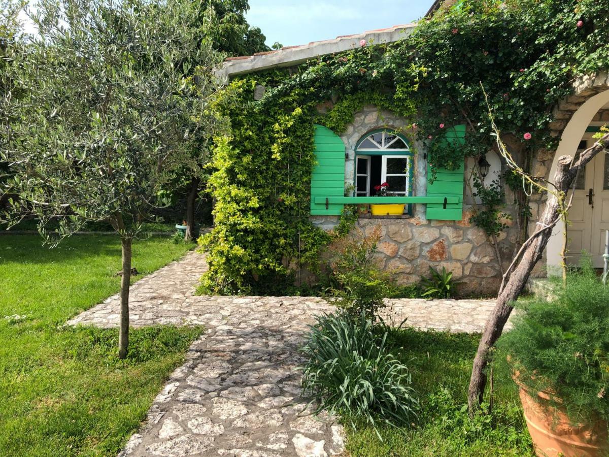 Lake House Puro Dodoši Kültér fotó
